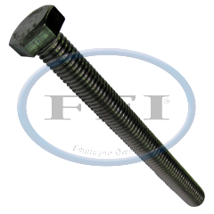 Bolt-1/2 X 5 SS