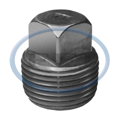 Plug-Sq Head 3/4 in Carbon Steel