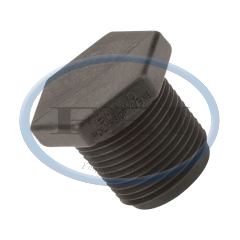 Plug - 1/2 In MPT