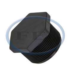 Plug - 1-1/2 In MPT
