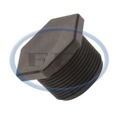 Plug - 1-1/4 In MPT