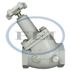 Valve-Globe 2 Fpt Two 1/2 Mnpt Plugs