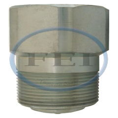 Valve-Back Check 2 Fpt X 2 Mpt Steel