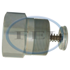 Valve-Ex Flo 2 Fpt X 2 Mpt 105 Gpm Stl