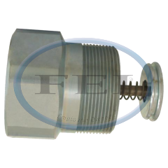 Valve-Ex Flo 1-1/4Fptx1-1/4Mpt 42Gpm Stl