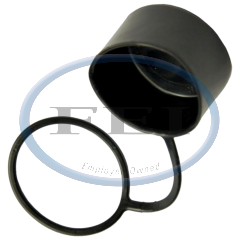 Cap-1 Relief Valve