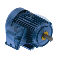 Motor-10Hp 3Ph 1800 Rpm 215T 1-3/8 Xp