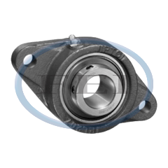 Bearing-1 2-Hole FLG Cast Iron