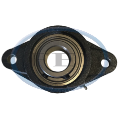 Bearing-1-1/4 2 Bolt Flg EZ-
