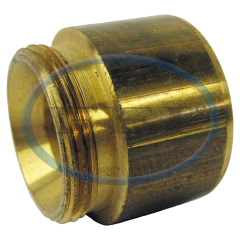 Adapter-Pipeaway 1/2 in FPT Fisher