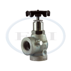Valve-Angle 1 Fnpt