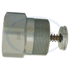 Valve-Ex Flo 1-1/4Mptx1-1/4Fpt 42Gpm Stl