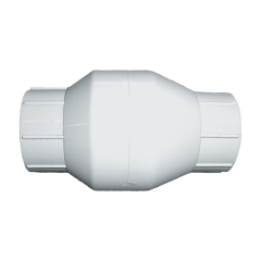 Valve-2 Fpt Pvc Check