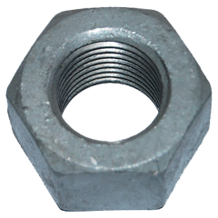 Nut-Hex 1/4 Ss