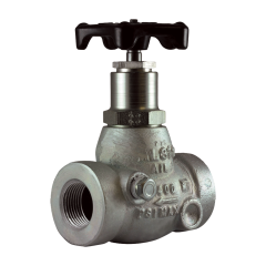 Valve-Globe 1 Fnpt