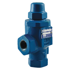 Valve-Bypass 1 71-100 Psig