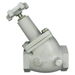 Valve-Globe 2 Fpt Two 1/2 Mnpt Plugs