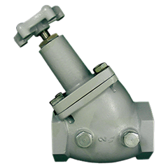 Valve-Globe 1-1/4 Fpt
