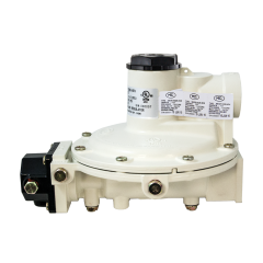 Regulator-Cpt Intg 1/4Fpt Inx1/2Fpt 2Psi
