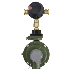 Regulator-Comp Auto Chngovr 1/4Ifx1/2Fpt