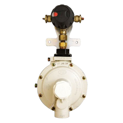 Regulator-Auto Cgovr 1/4If X1/2Fpt 2Psi