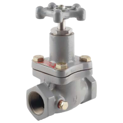 Valve-Globe 2 Fpt