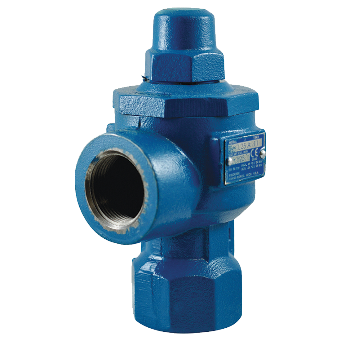 Valve-Bypass 1-1/4 71-125Psi Set 125Psi