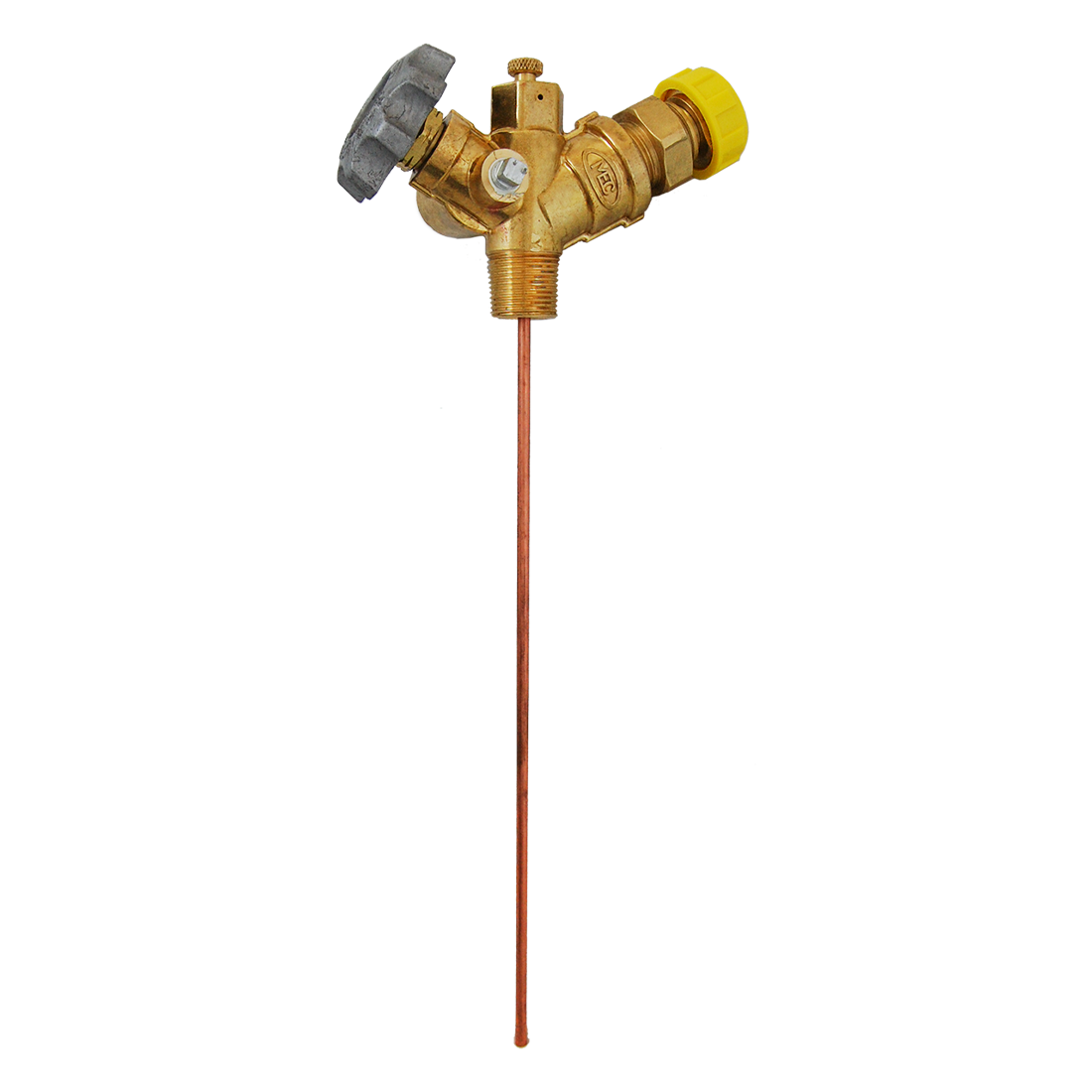 Valve-Vpr Multisvc 3/4Mpt Xfpol 12 Diptu