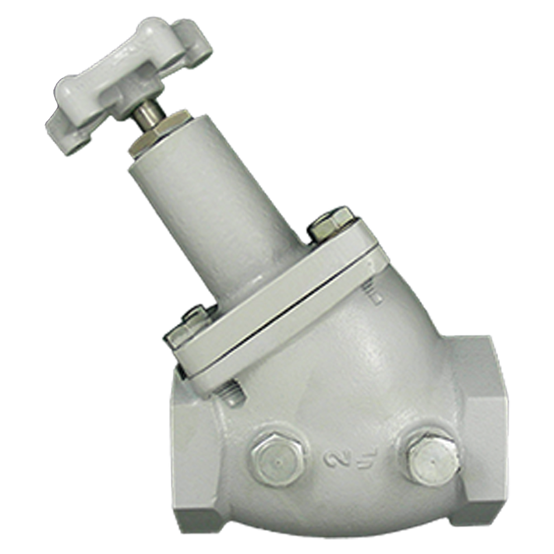 Valve-Globe 2 Fpt Two 1/2 Mnpt Plugs