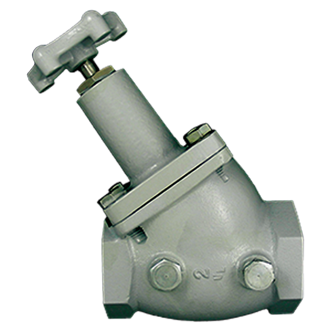 Valve-Globe 1-1/4 Fpt