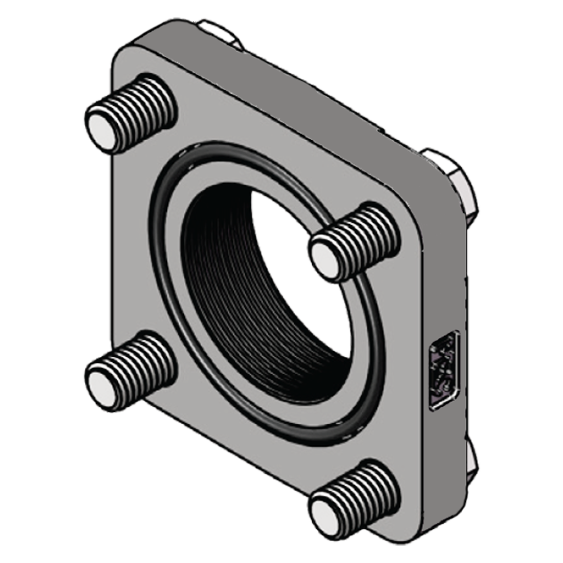 Kit-Flg Socket Weld 2 Bolts O-Rings