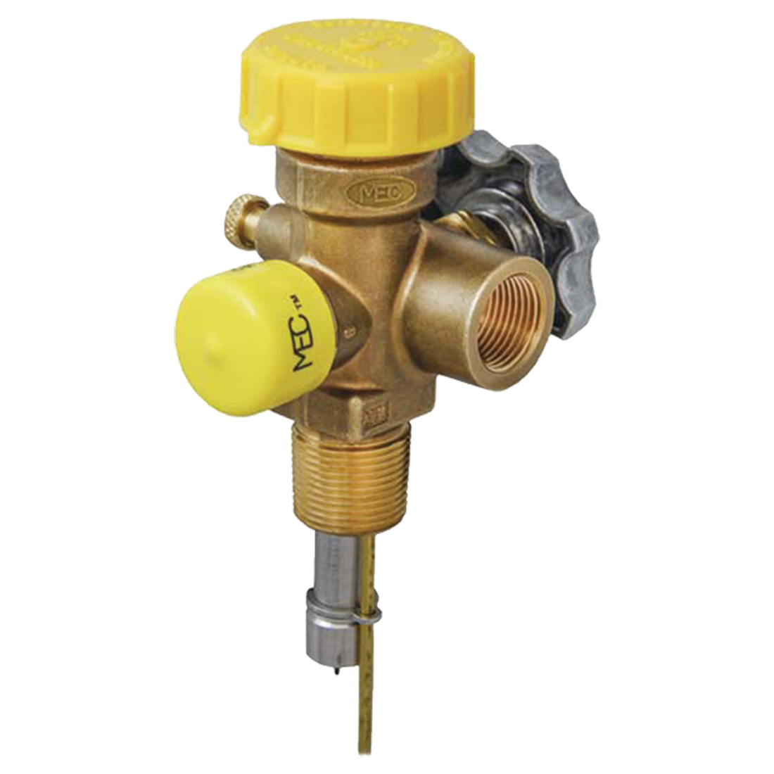 Valve-Clus 100-200Lb Dot 3/4Ngt 11.6 Dip