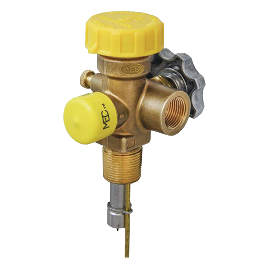 Valve-Clus Multisvc 3/4Ngt Fil 375Psi
