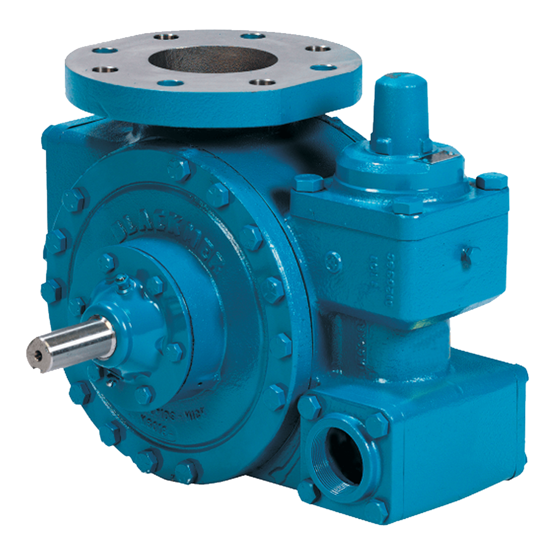 Pump-Flanged 4